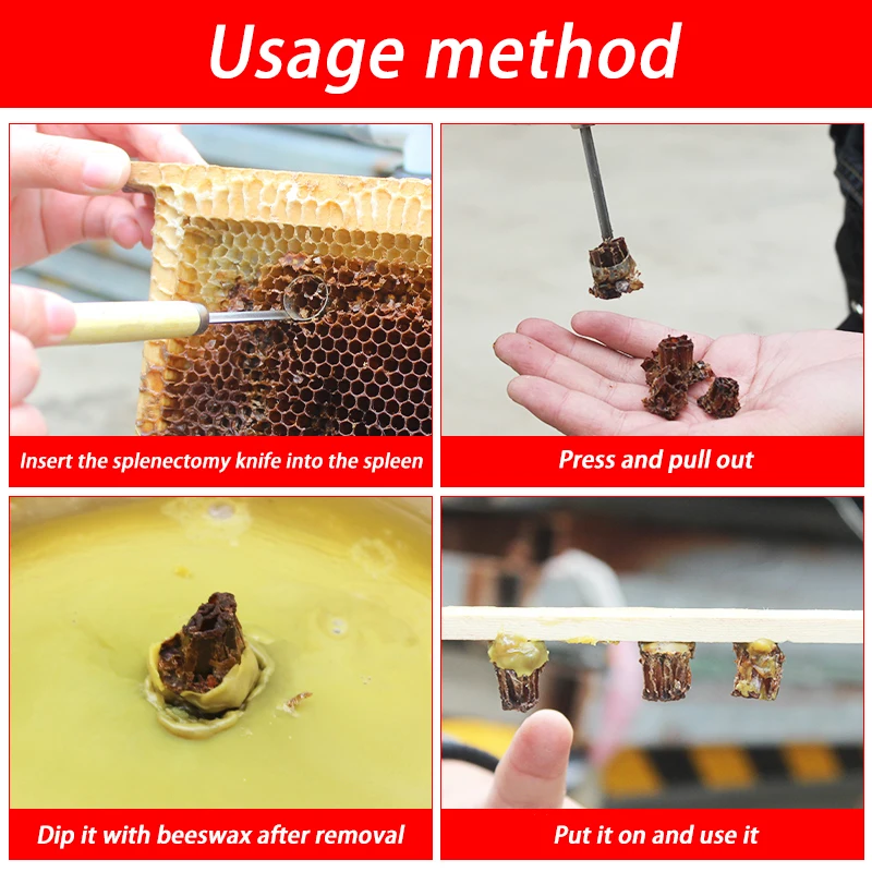 Beekeeping No-Graft Queen Rearing Kit Comb Foundation Cutter Queen Frame Cutter Extractor Cutting Tool Apiculture Equipment beekeeping tools beekeeping accessories