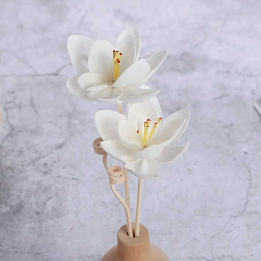 Multipurpose Natural For Home Volatile Handmade Fragrance Tongcao Flower Dried Flowers Aromatic Incense Diffuser Sticks