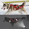 Dog Outdoor Sled Chest Strap Dog Weight Training Traction Strap Husky Samo Snowboard Traction Rope 2