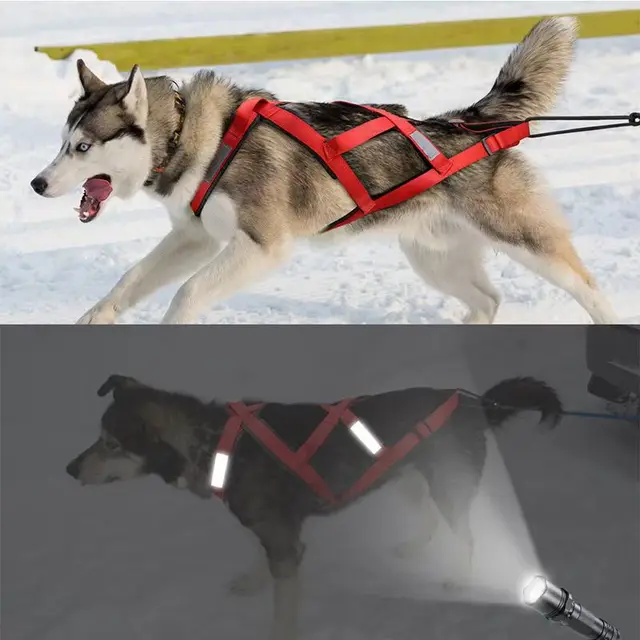 Dog Outdoor Sled Chest Strap Dog Weight Training Traction Strap Husky Samo Snowboard Traction Rope 2