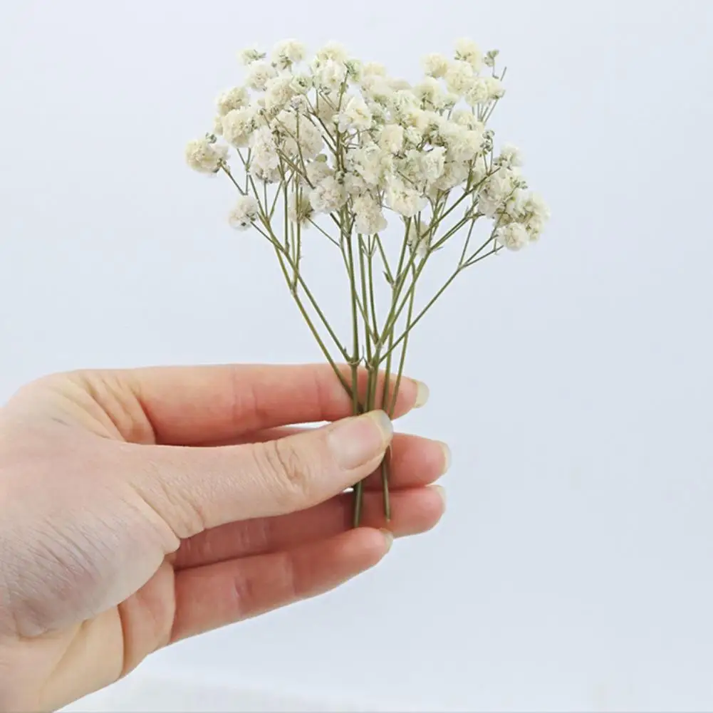9 Farben Schleierkraut Trockenblumen Bouquet Vase Umschlag DIY Blumenarrangement Hochzeit Party Künstlerische Valentinstag Geschenke 2026 – Detail 4