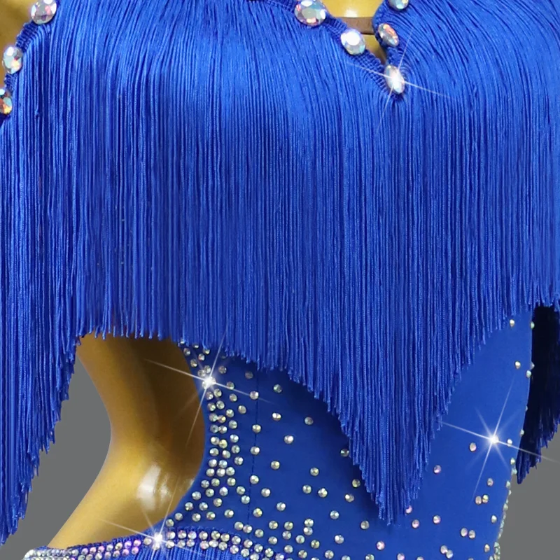 Latin Performance Dance Dress Women Sexy Outdoor Ballroom Party Fringe Skirt...