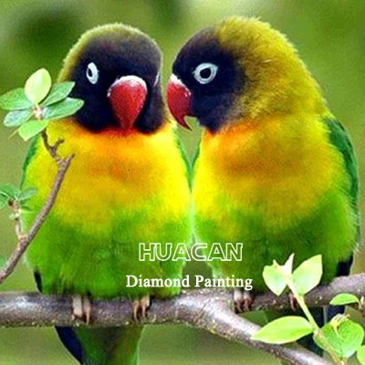 QiHon 5D DIY Diamond Painting Kit Completo Fiore Pappagallo Fai da te Kit Pittura Diamante Strass Ricamo A Punto Croce Pittura di Diamanti per Decorazione Parete Casa Bambini Adulti 40x50cm