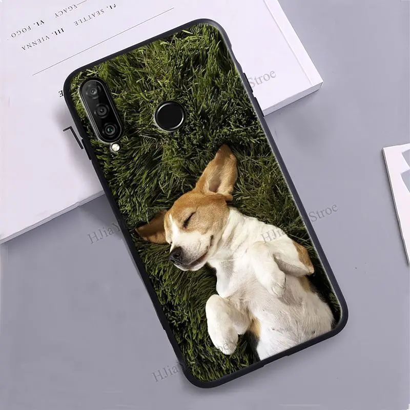 Adorable Beagle Puppy Design Phone Case