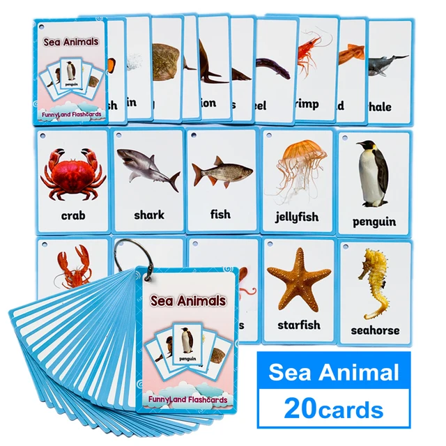 Children Learn English Word Card Sea Animal Colors Fruit in English  Educational learning flashcards toys for kids|educational toys|animal  learning cardsbaby learning cards - AliExpress