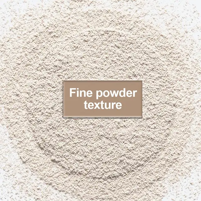 Matte Translucent Loose Setting Powder 6