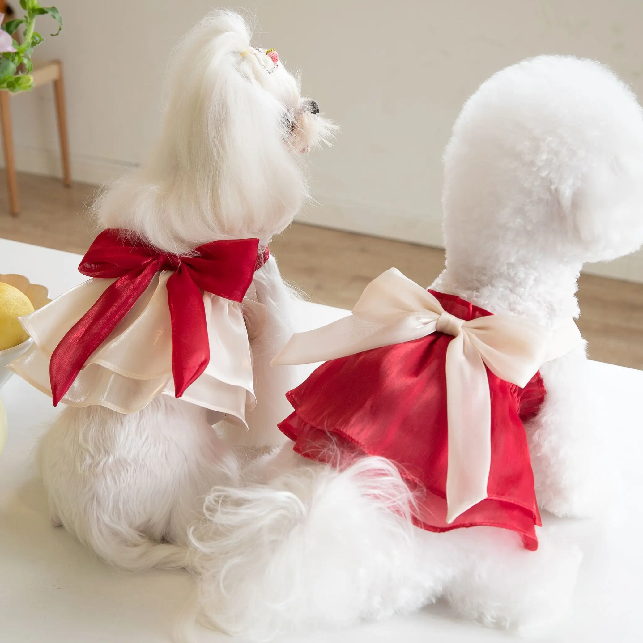 

Lovely Cat Tulle Skirt, Pet Yarn Skirt, Bow A-line Skirt, Small and Medium Sized Dog Clothes, Spring and Summer