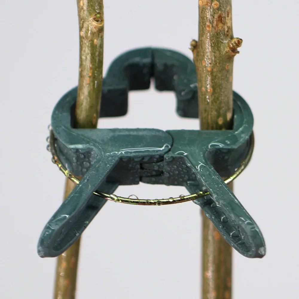 20-100PCS Garden Plant Clip Branch Clamps Flower Phalaenopsis Fastener Plastic Bracket Stems Support Vine Climbing Grow Upright plant clips plastic plant clips