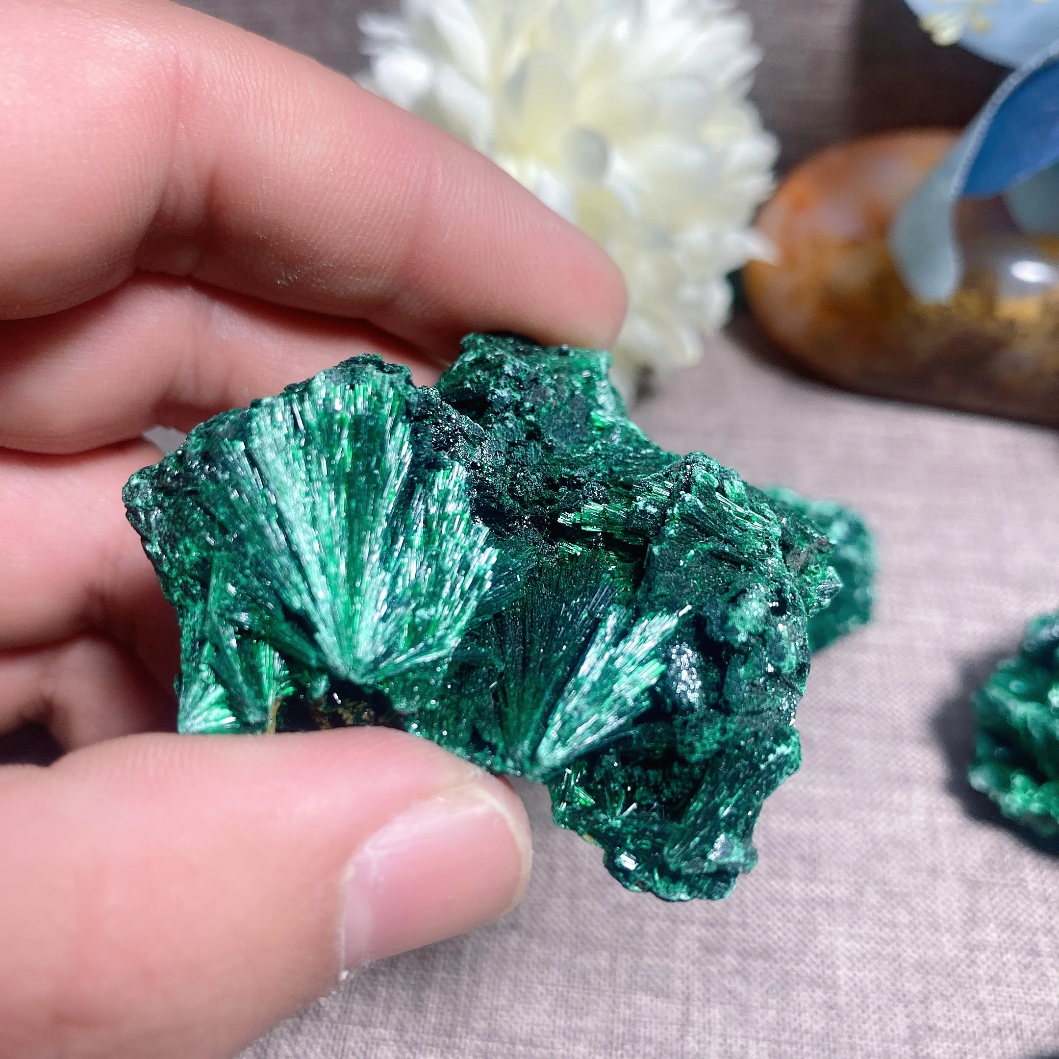 Velvet malachite best sale