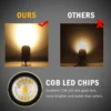 US Plug COB Super Bright Warm White Spotlight Led Garden Light Lawn Lamp Low Voltage Landscape Lighting IP65 Waterproof 5