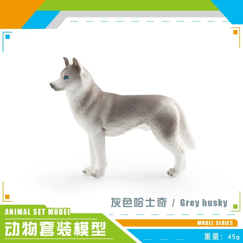 Husky2
