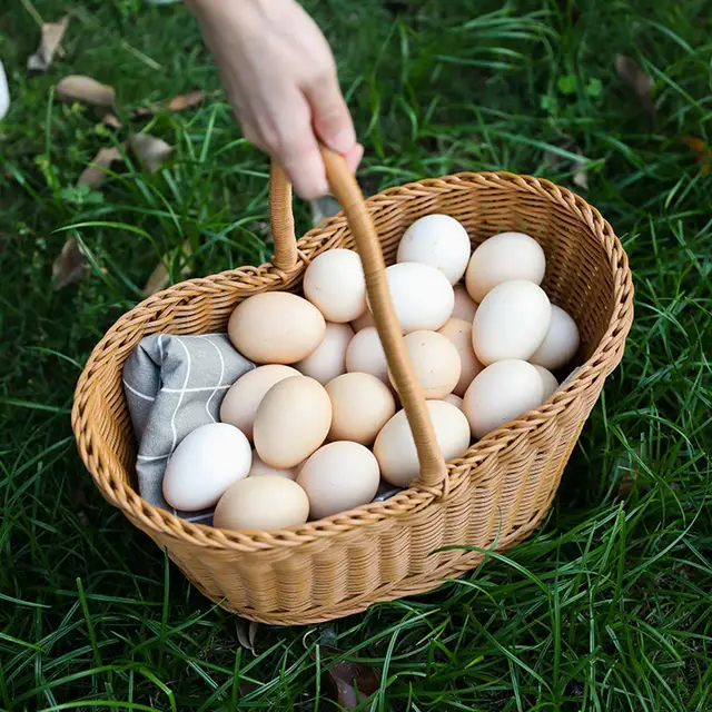 다용도 짠 보관 바구니