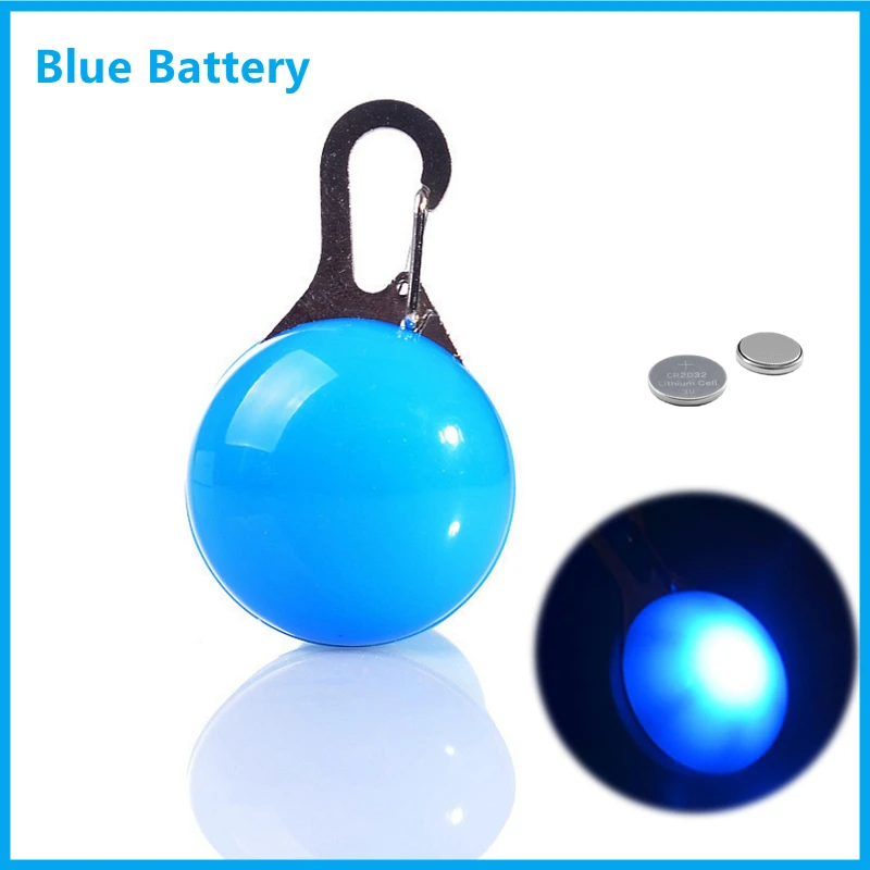 Radiant LED Pet Collar and Leash Accessory