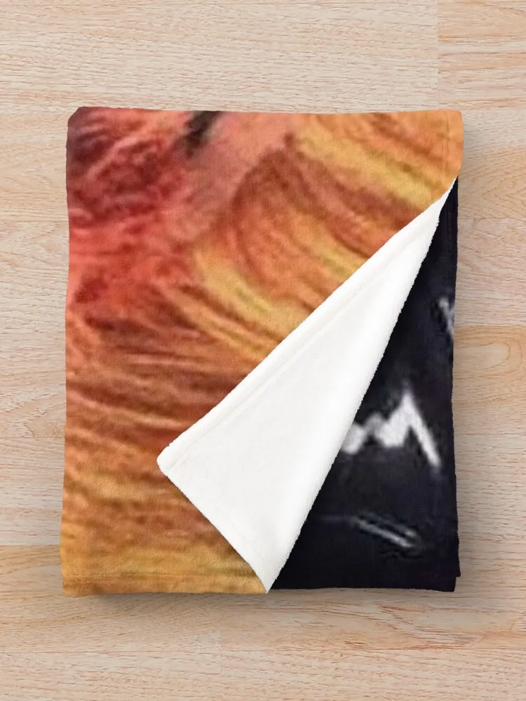 �ö��̾� �Ż� ������Ʈ Gritty ������ ���, ������ ���� ���