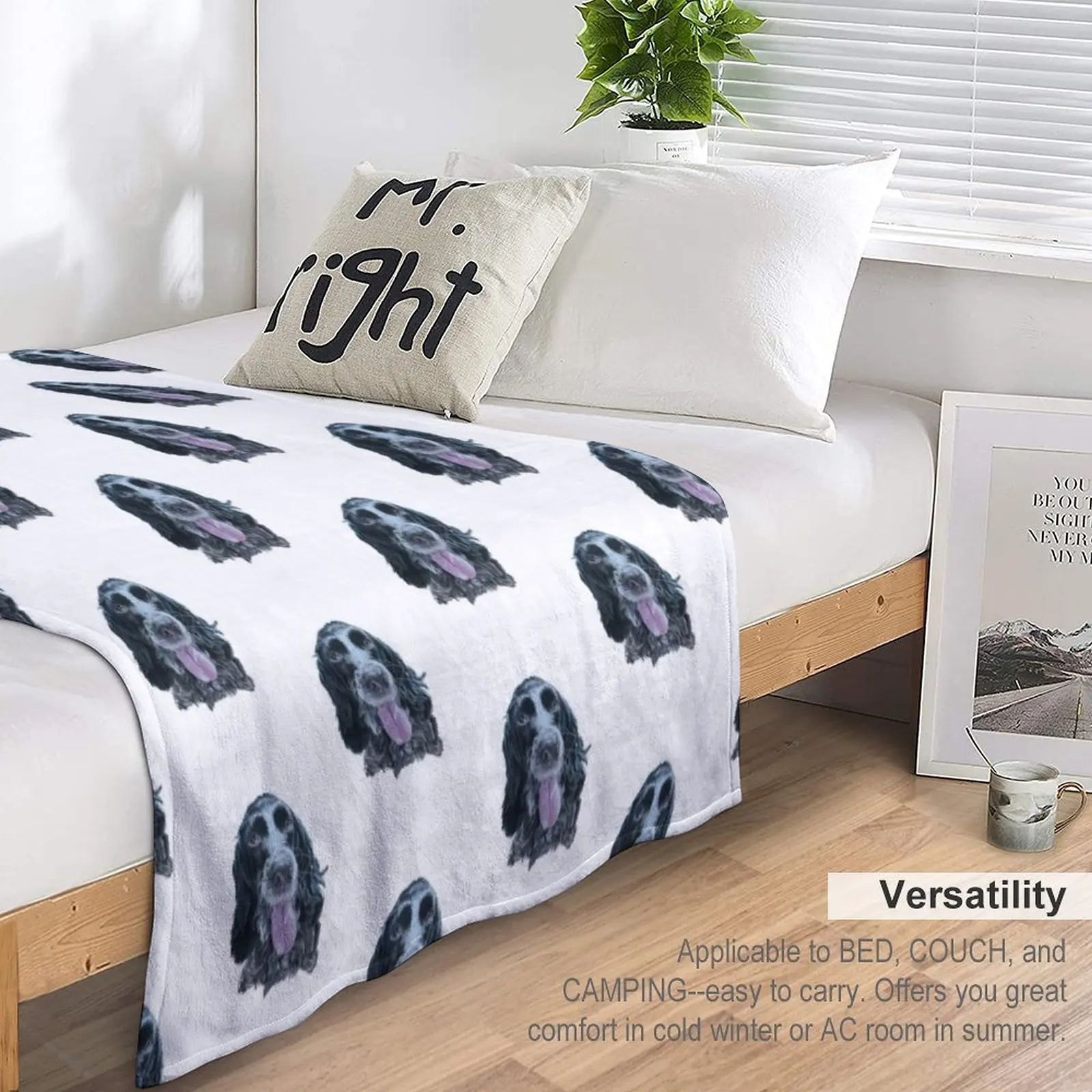 ���� �ξ� ��Ŀ ���дϾ� ���ο� ���, ���Ÿ� �귣�� ���� ����Ʈ �� ���