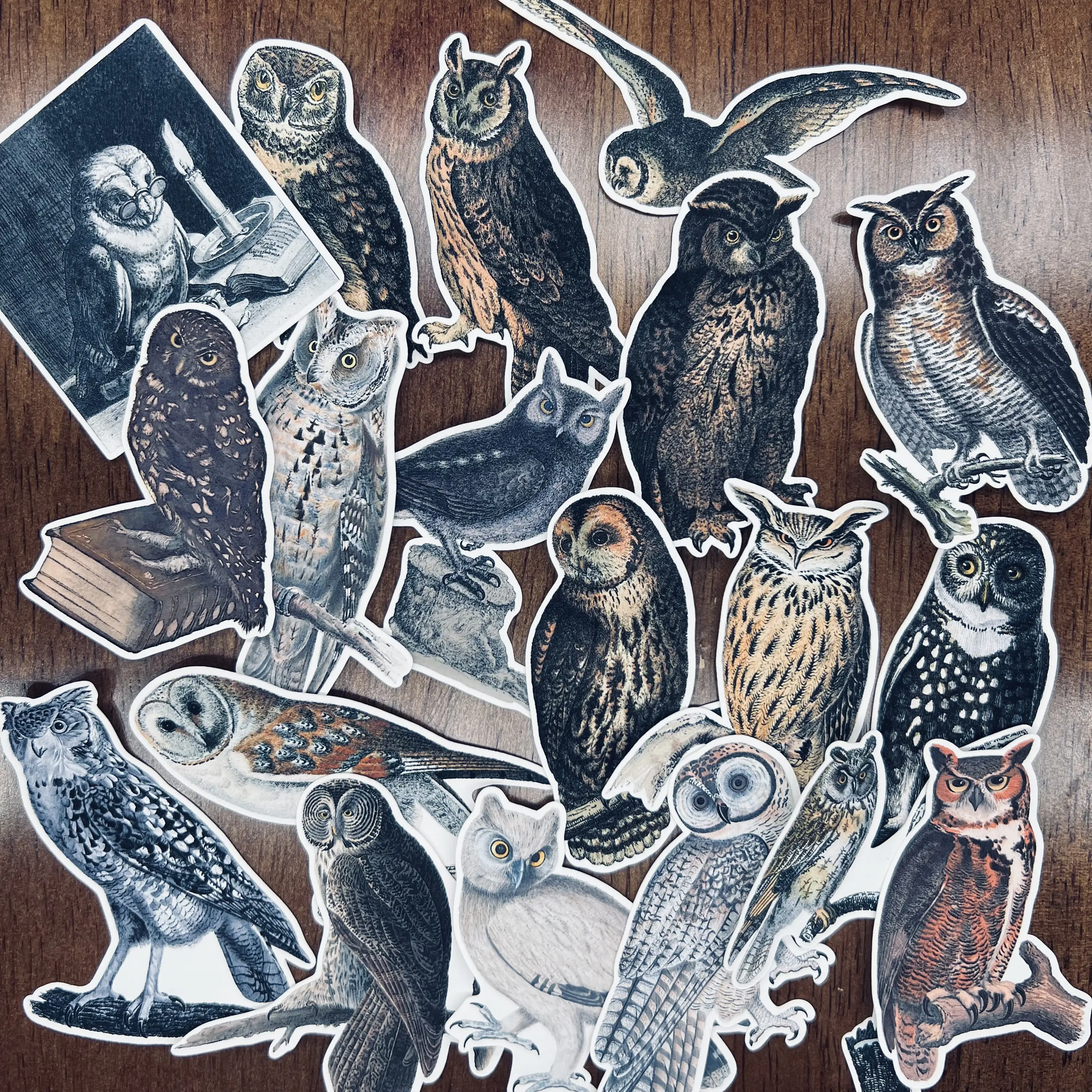 Owl Stickers Vintage Junk Journal Travel Planner Sticker Deco Label For