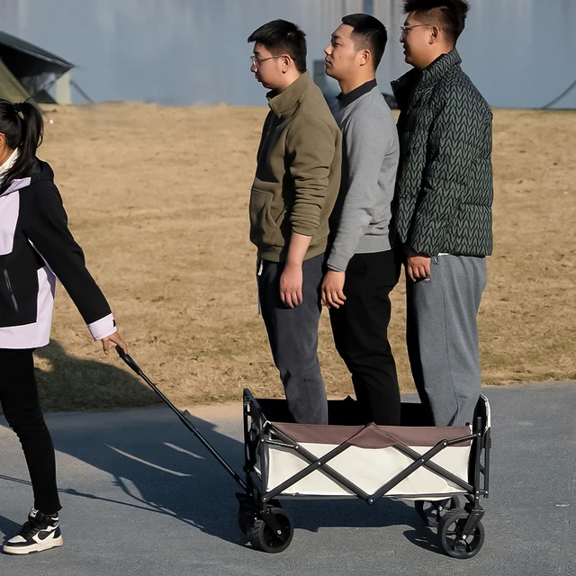 Heavy Duty Folding Wagon Cart 6