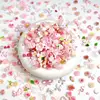 Random Mixed Sweet Pink Bow Nail Charms 3D Resin Pink  Rose Flower Nail Art Decorations Accessories for DIY Cream Glue Crafts 3