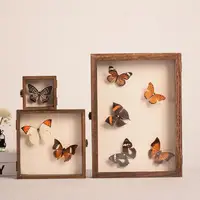 High-Visibility Wood Construction Storage Case, Smooth Edge, Large Insect Shadow Box, Dust-proof Display Rack, Multiple Sizes 1