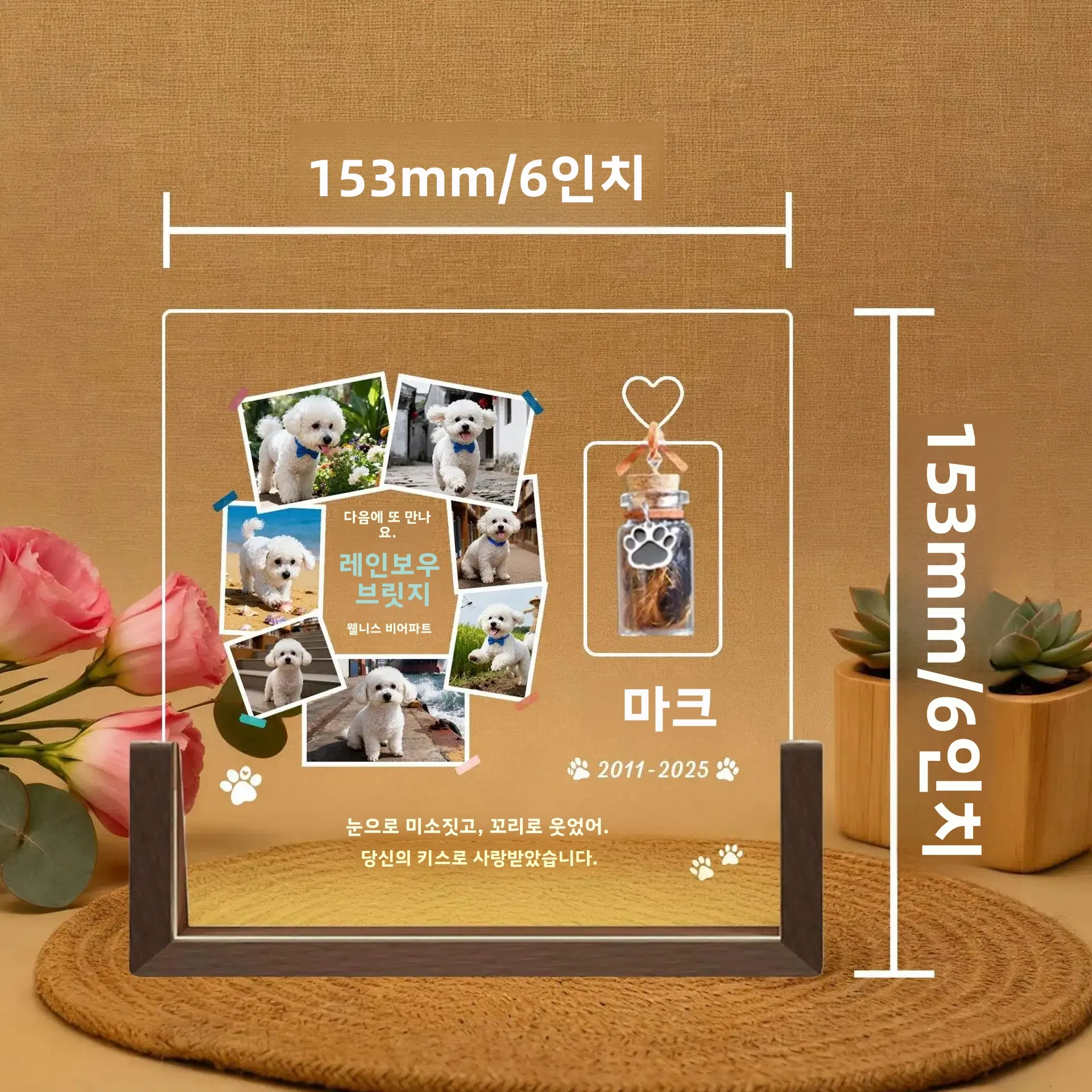 맞춤형 반려동물 추모 야간 조명, 유리병에 담긴 사진 기념품, 유골, 털, 이빨 보관, 진심 어린 위로 선물