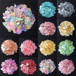Muticolor Irregular Abalone Chips Natural Glitter Flakes Sea Shell Fragments For Nail Art Decoration DIY Manicure Wholesale