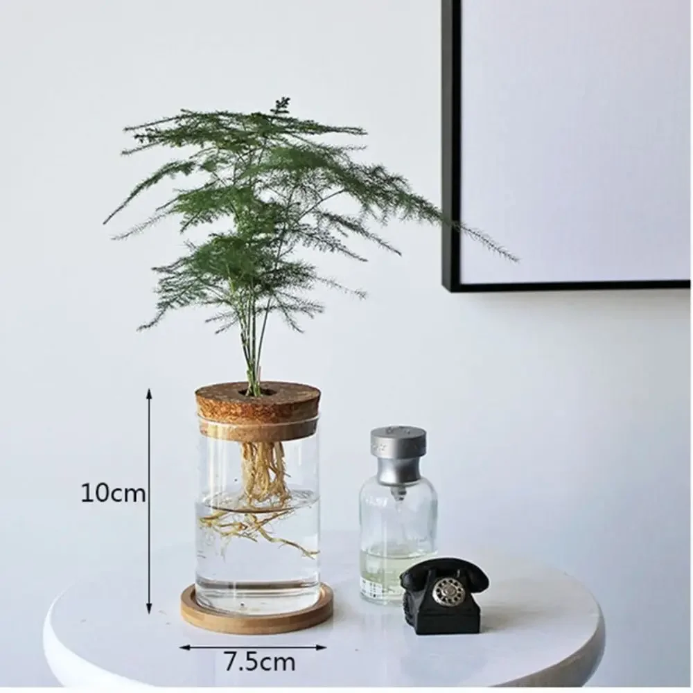 Description Picture 3 of itemWooden Lid Glass Aquatic Terrarium, Ins Trendy Hydroponic Fish & Plant Vase for Living Room Desktop Ornament