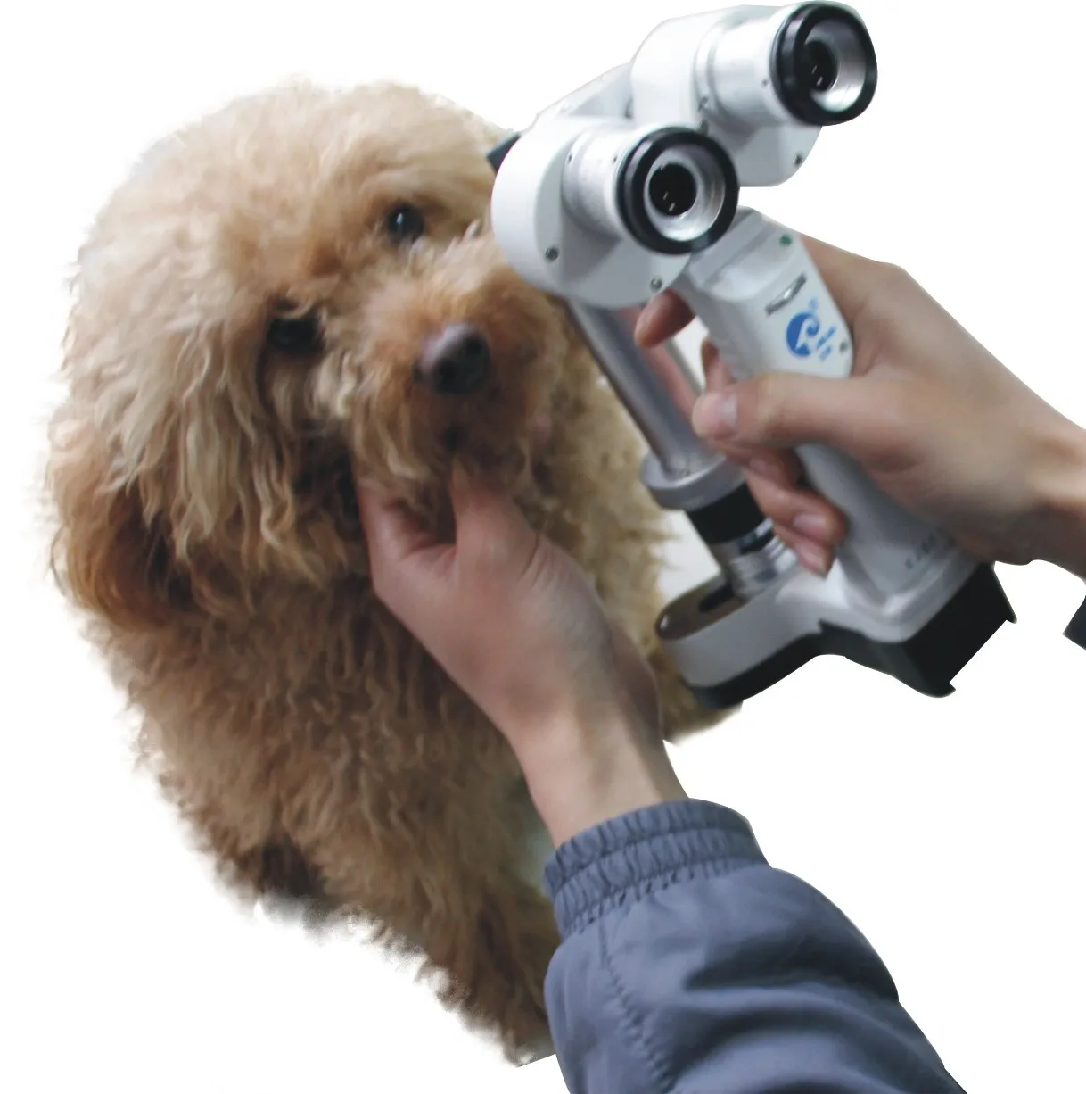 

Guaranteed Quality Portable Slit lamp Veterinary handheld Slit lamp KJ5S2 Veterinary slit lamp