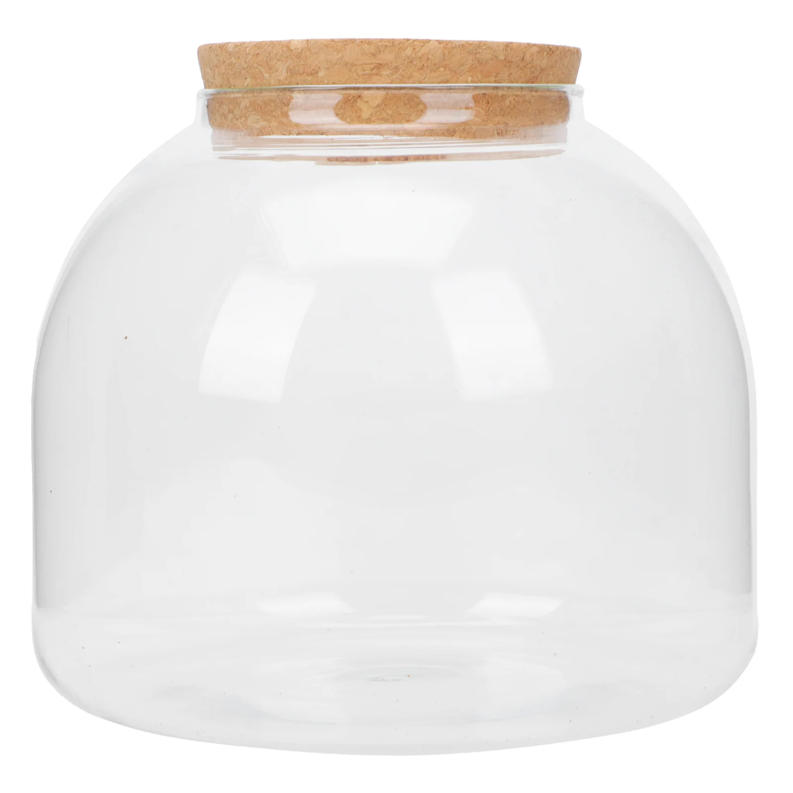 

Glass Terrarium Bottle Cloche Bell Jar Glass Planter Box Glass Flower Pots Showcase Display Dome Flower Glass Dome Terrarium