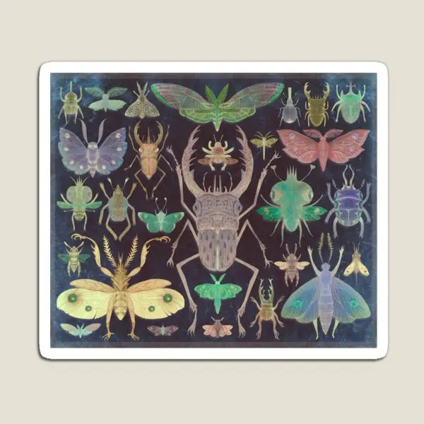 

Entomology Is Wish неоновая версия магнит красочный холодильник детский смешной декор Домашний Детский держатель Магнитная игрушка