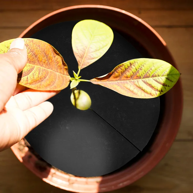 40 Db Őrölt Ruhával Ellátott Fűtésgátló Gyűrűvezérlő Tájfa 15X15X0.1Cm Kertészeti Burkolat Fekete Nem Szőtt Anyag - Image 3