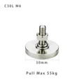 C30L long screw M6