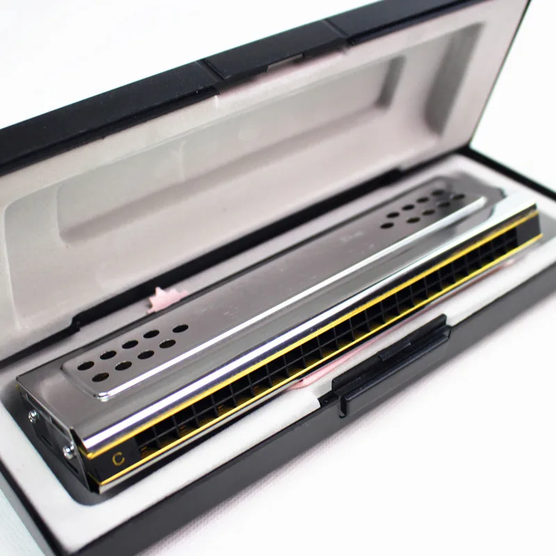 Both Sides Swan Harmonica Tremolo C And G Key 24 Holes Double Harmonica Harp Mouth Organ Woodwind Instruments 12 Sc143566a9fbe4432b4639bfcbb1ec6a1L