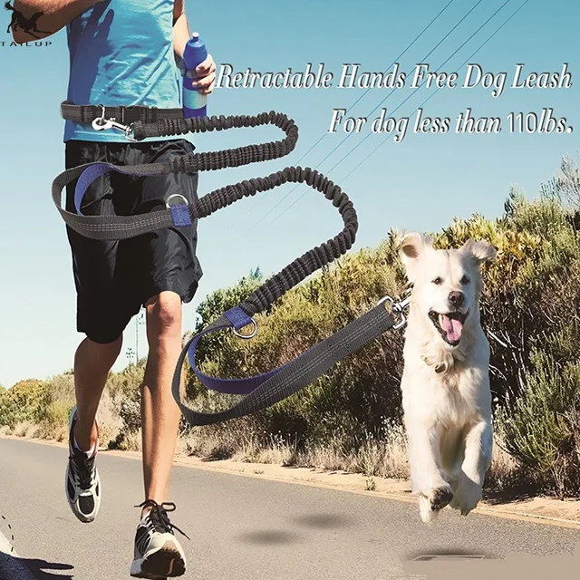 Hands-Free Reflective Dog Running Leash with Dual Handles 1