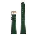 Green-Gold Buckle