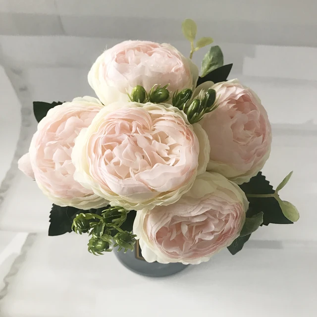 Image 13