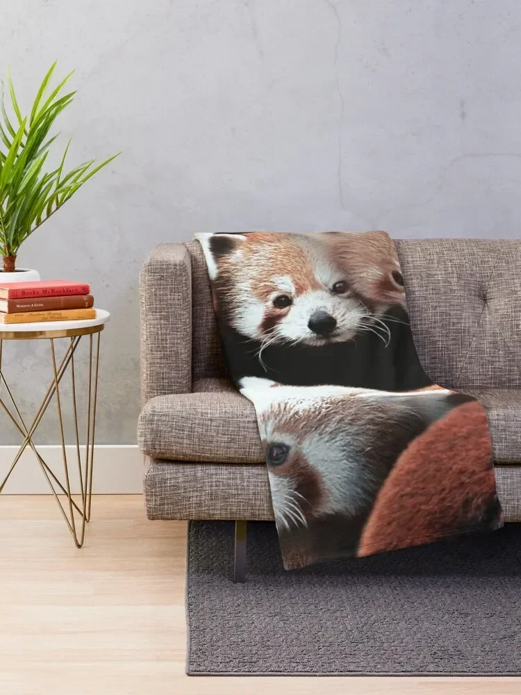 ���Ŀ� ���� �Ǵ� ������ ���, ǫ���� ���, �Ϳ��� ���� ���� ���