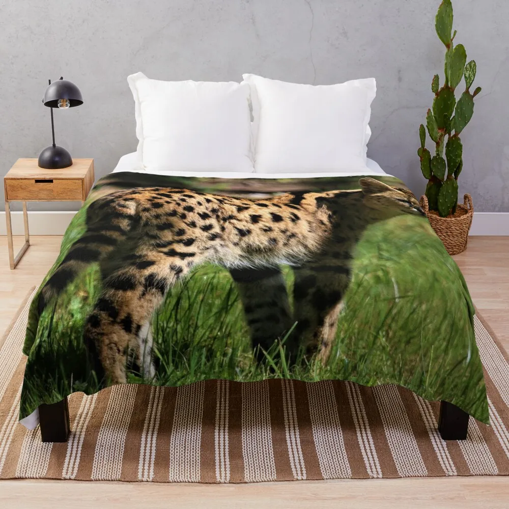 

Sleek Serval Throw Blanket Fluffy Blankets Large Shaggy Blanket