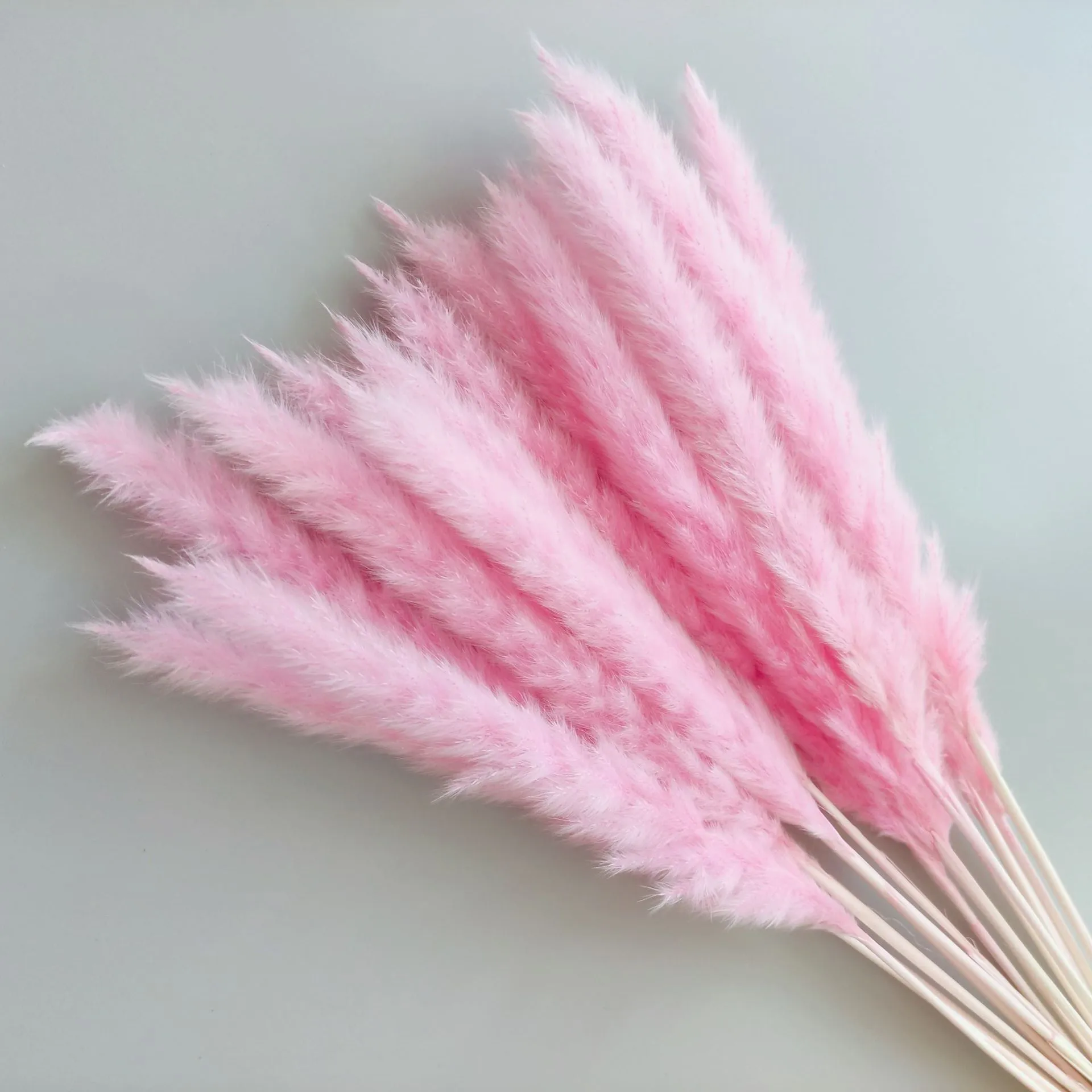 

15Pcs Pampas Dried Flowers Pampas Grass Fleurs Sechees for Vase Flower Arrangement Decoration Boheme Home Pampasgras