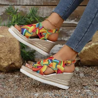 Rainbow Graffiti Wedge Heels Sandals for Women Summer 2025 Peep Toe Platform Sandals Woman Buckle Strap Thick Bottom Beach Shoes