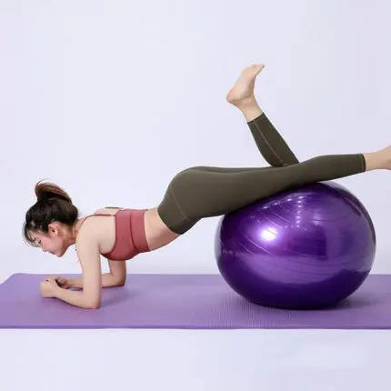55cm Yoga Ball Exercise Gymnastic Fitness Pilates Balance Gym Indoor Training Core Yoga Ball Gymnastics Ball
