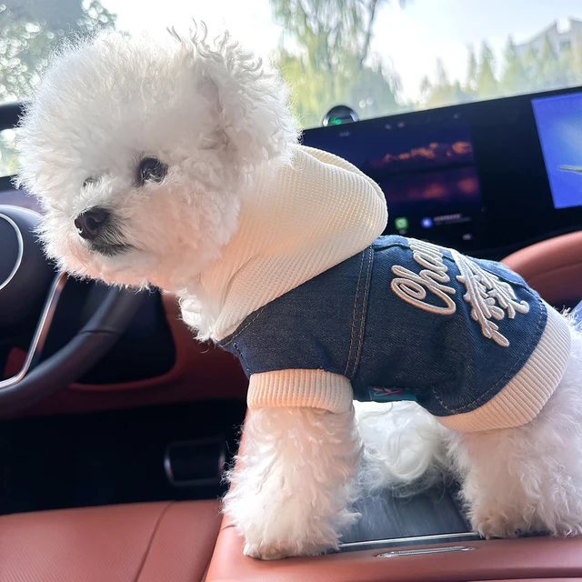 Pet Clothes Dog Cat Cat Out Handsome Cute Comfortable Champion Embroidered Blue Coat Hoodie 2