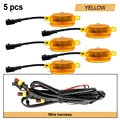 5Pcs Amber-Amber
