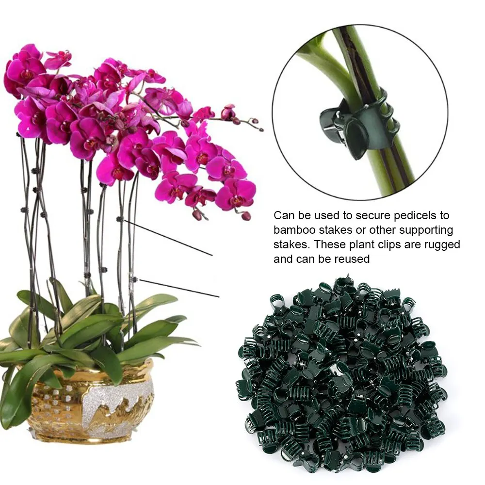 Plastic Plant Clips Plant Clips Plastic Plant Supports Plant Stem Support Plant Ties Plant Support Connector Plant Support Stick 100pcs Garden Plant Clips Plastic Support Orchid Stem Clip for Vine Vegetables Flower Tied Bundle Branch Clamping Garden Tool
