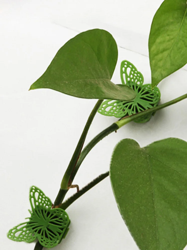 

10PCS Plant Climbing Artifacts Fixing Clip Butterfly Shape Clamps Self-Adhesive Invisible Garden Hook Support Climbing Plants