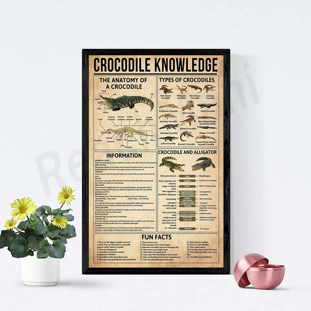 Crocodile-knowledge-poster-crocodile-anatomy-crocodiles-and-alligators