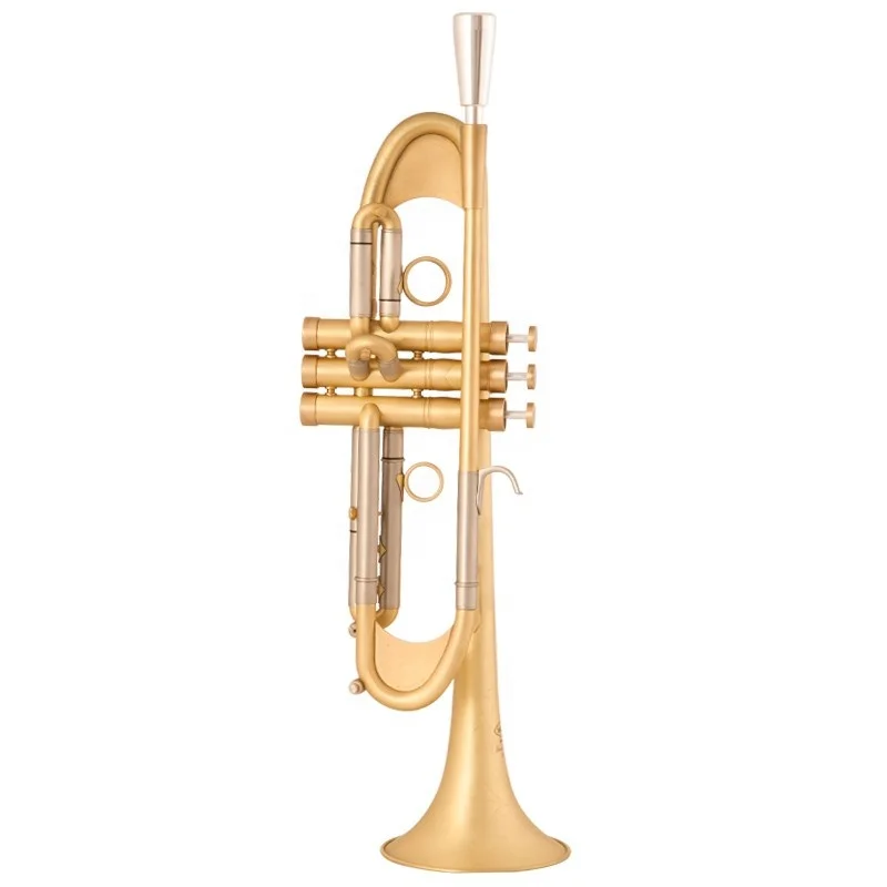 Pro Plus Heavy B-Flat Trumpet in Brushed Gold Band Playing Brass Instrument with EB Tone Lacquer Surface