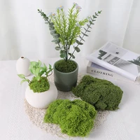 30/50/100g Artificial Green Plants Moss Grass Home Living Room Garden Decoration Mini Landscape Fake Flower DIY Crafts 6