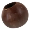 Coconut Shell Flower Pot Unique Old Design Breathable Kindergarten Succulent Planting Cute Planter Bowl Nursery Pots 4