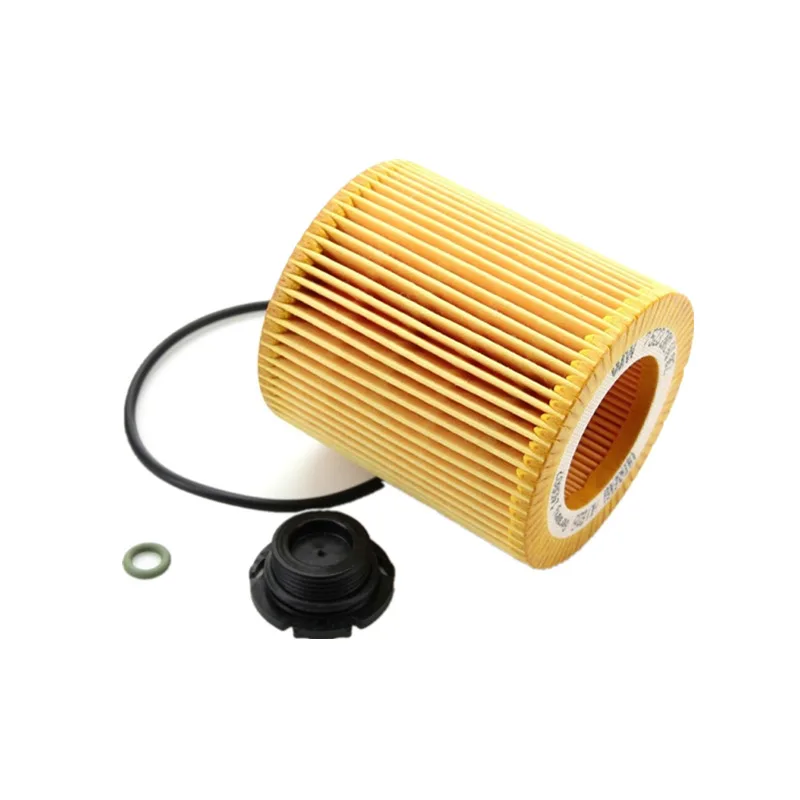 Oil Filter for BMW 1 3 5 X1 X5 X4 Z4