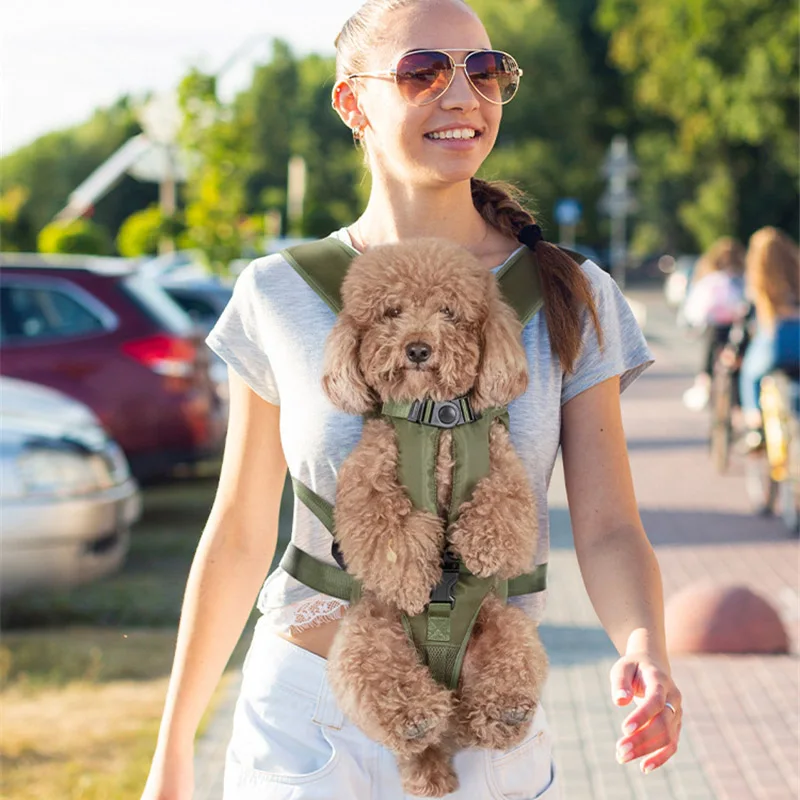 backpack for dogs to carry